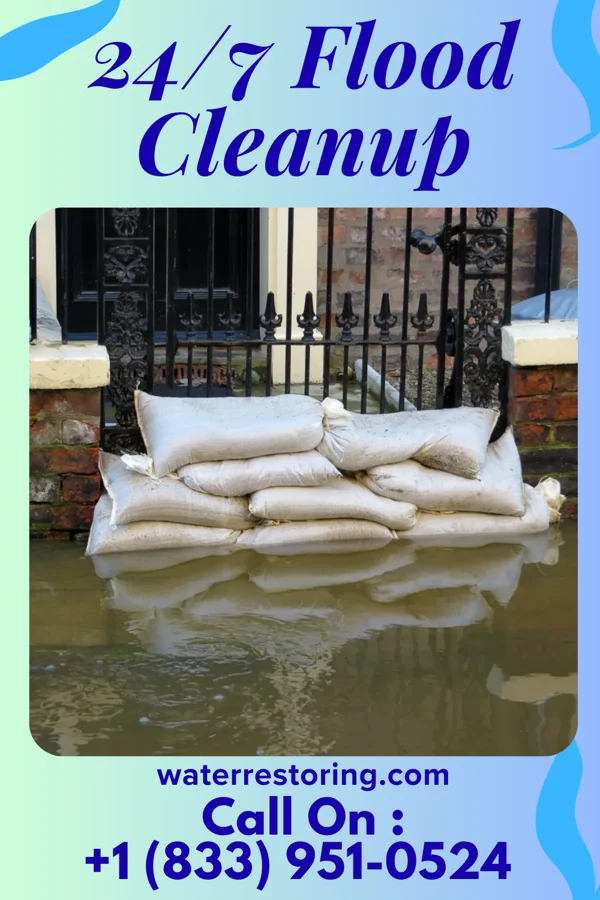 24/7 Flood Cleanup in Wauneta, NE