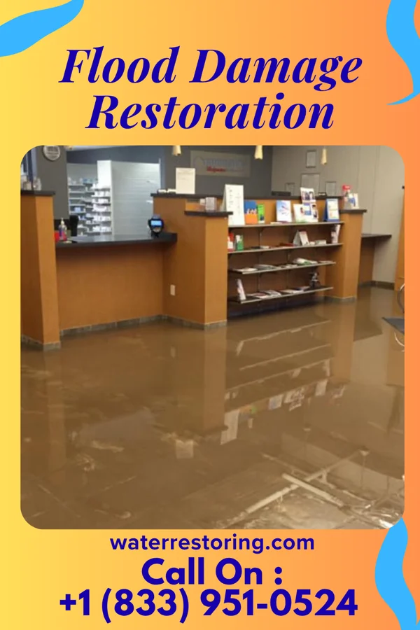Flood Damage Restoration in Wauneta, NE