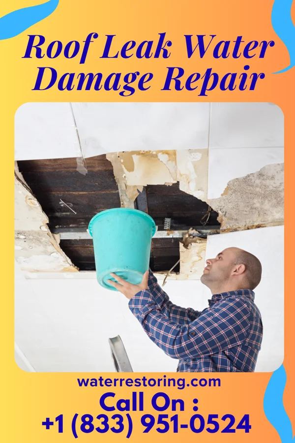 Roof Leak Water Damage Repair in Wauneta, NE